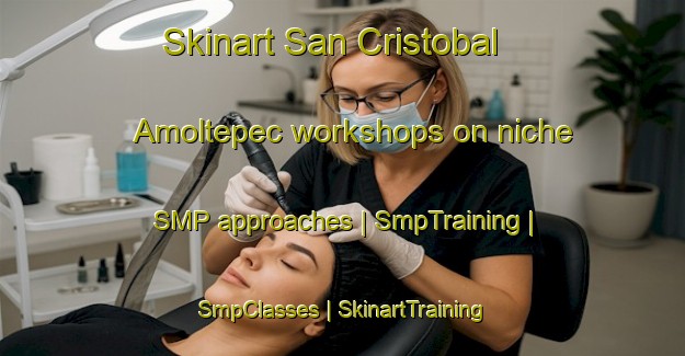 Skinart San Cristobal Amoltepec workshops on niche SMP approaches | SmpTraining | SmpClasses | SkinartTraining-Mexico
